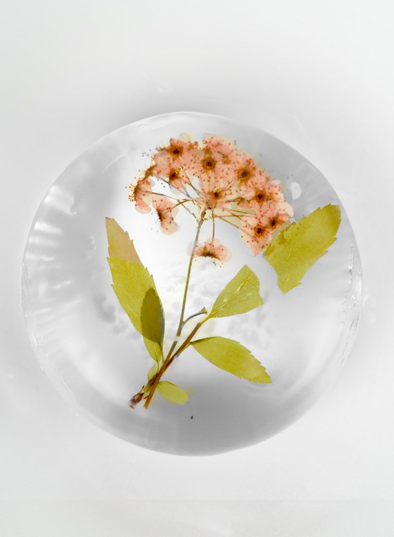 natural100 glycerin soap - Image 5