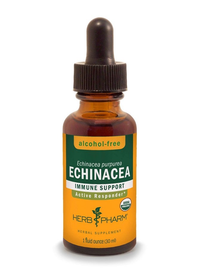 HERB PHARM Certified Organic Echinacea Root Liquid Extract For Immune System Support Alcoholfree Glycerite 1 Ounce  - Image 2