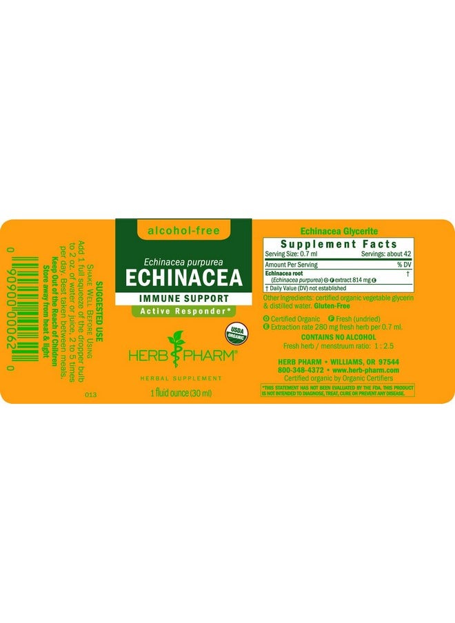 HERB PHARM Certified Organic Echinacea Root Liquid Extract For Immune System Support Alcoholfree Glycerite 1 Ounce  - Image 3