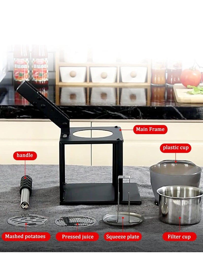 AIPING Citrus Fruits Squeezer Mashed Potatoes Watermelon Tomato Orange Lemon Juicer Lemon Fruit Pressing Machine Home Commercial - Image 2
