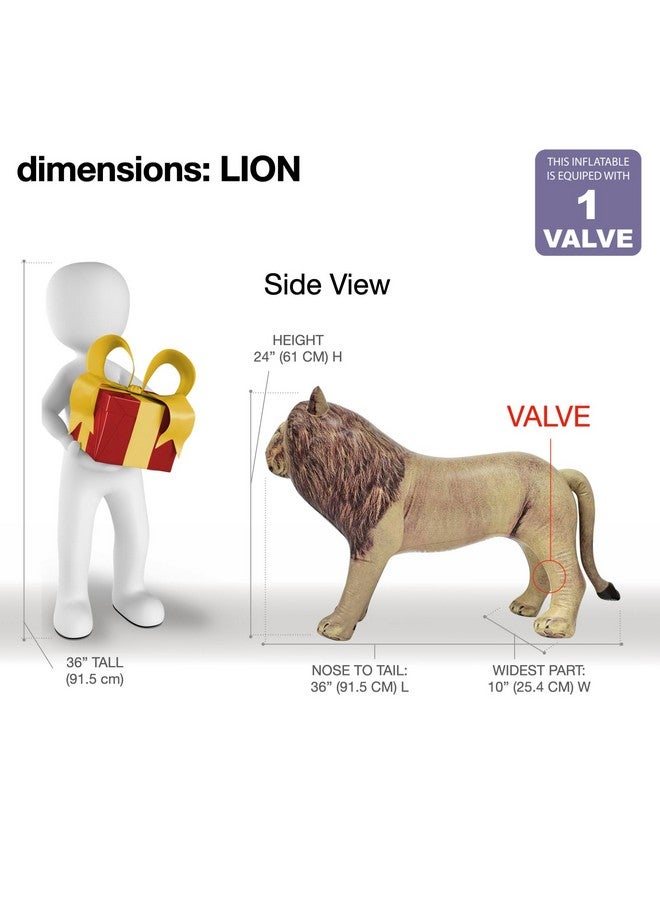 Jet Creations أسد ذكر ملك أفريقيا تمثال الحياة البرية سفاري 36" قابل للنفخ قائم بذاته - Image 2