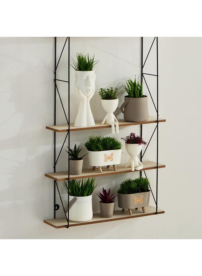 هوم بوكس نبات تاريا في وعاء مع مقبض - 11x11x18 سم - Image 4