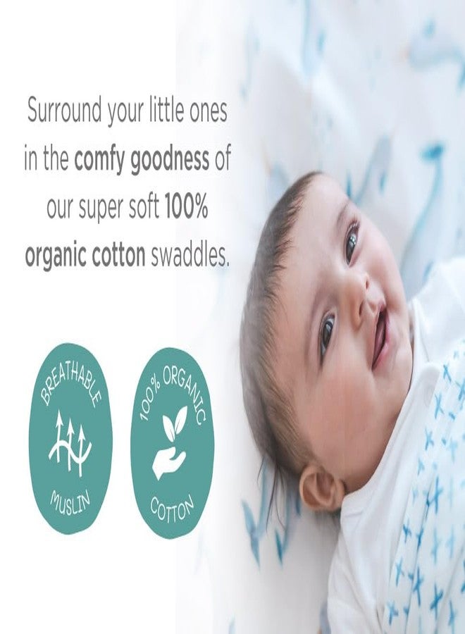 Masilo 100% Bamboo Muslin Burping Cloth Set for Newborn Baby-Absorbent & Soft Bibs for Babies / (1 x Burp Cloth & Swaddle) - Our Little Pumpkin - Image 2