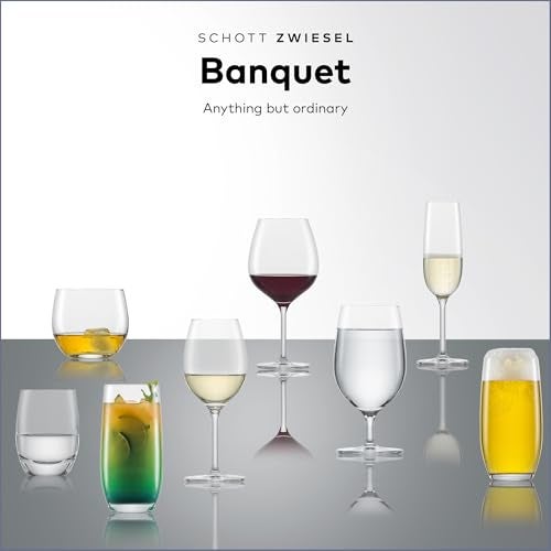 SCHOTT ZWIESEL Banquet Iced Beverage Cocktail Glass (Set of 6), Bar Glasses for Long Drinks, Dishwasher-Safe Machine-Made Tritan Crystal Glasses, Made in Germany(18 Ounce) - Image 4