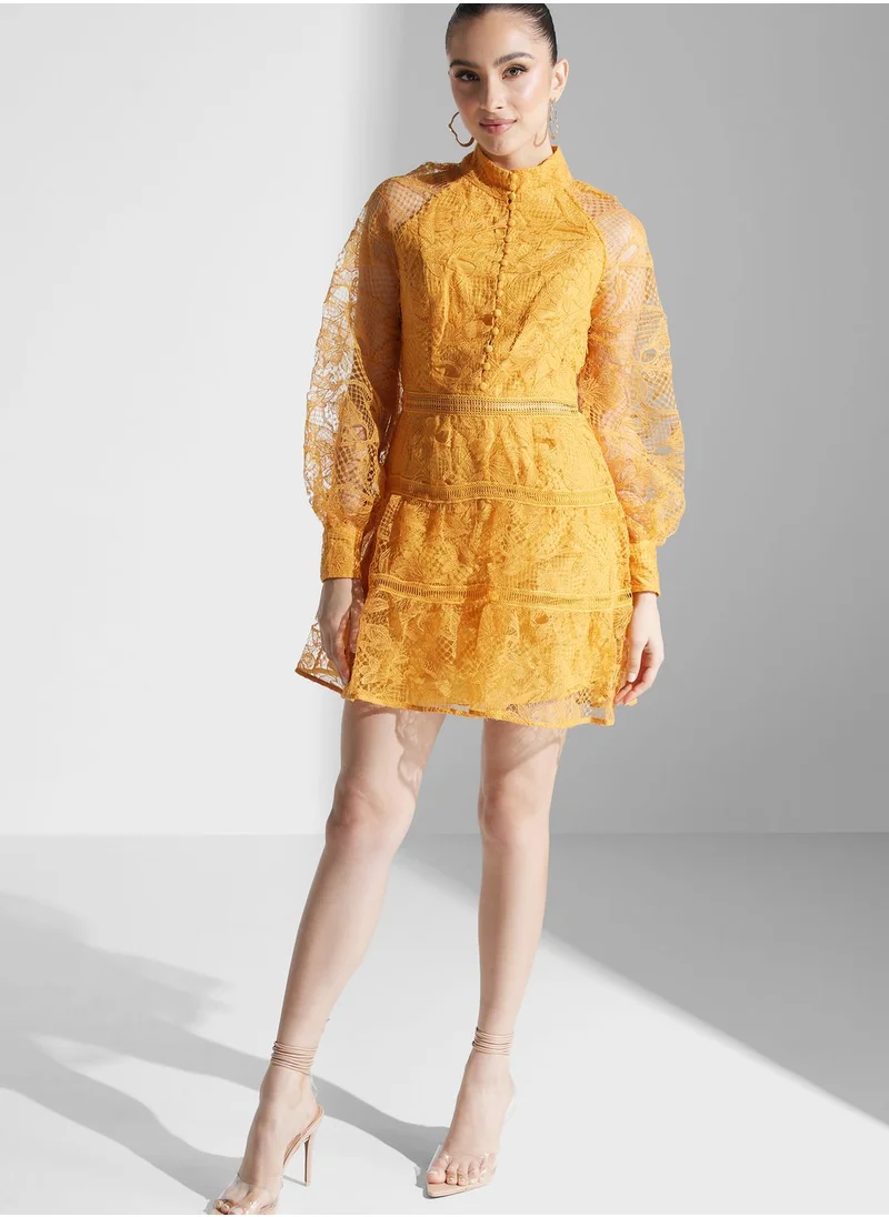 True Decadence High Neck Mesh Sleeve Dress