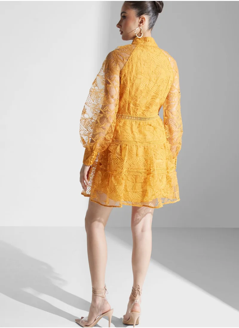 True Decadence High Neck Mesh Sleeve Dress