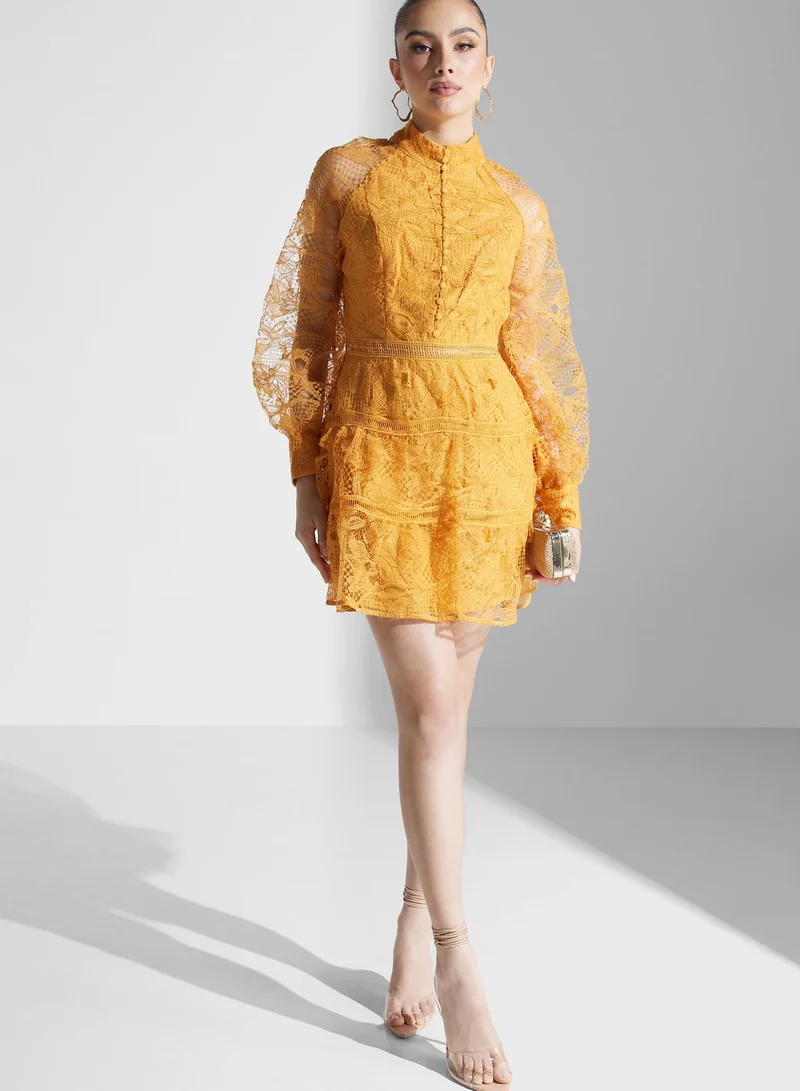 True Decadence High Neck Mesh Sleeve Dress