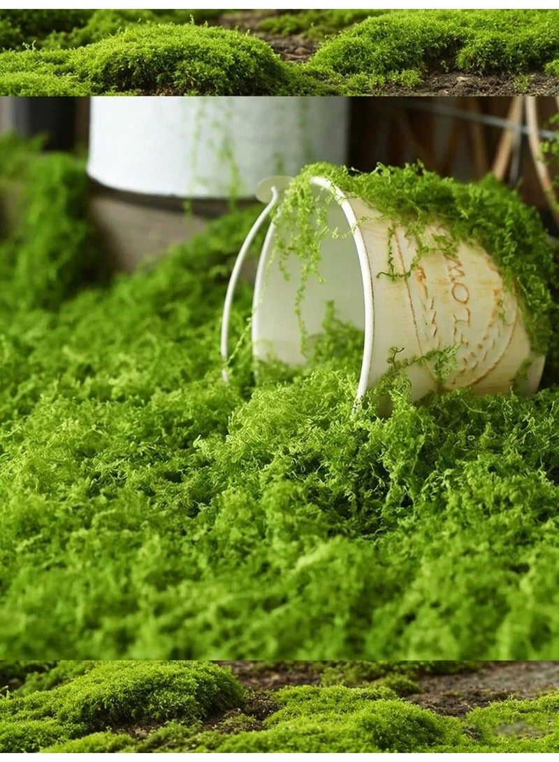 Artificial Moss 500g, Fake Moss Grass for Plants, Stretchy Breathable Faux Moss for Potted Plant Decor, DIY Craft Gardening, Home & Kitchen Decoration (Light Green) - Image 5