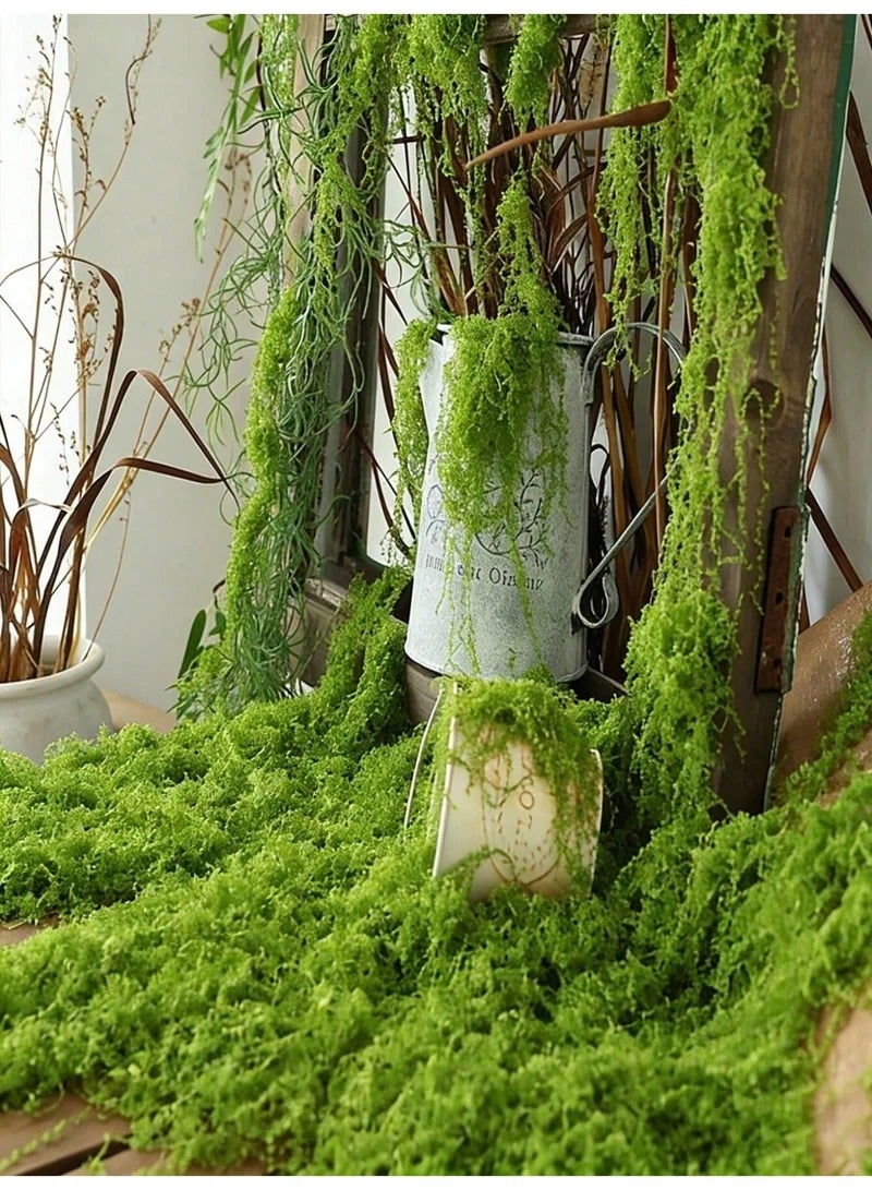 Artificial Moss 500g, Fake Moss Grass for Plants, Stretchy Breathable Faux Moss for Potted Plant Decor, DIY Craft Gardening, Home & Kitchen Decoration (Light Green) - Image 3