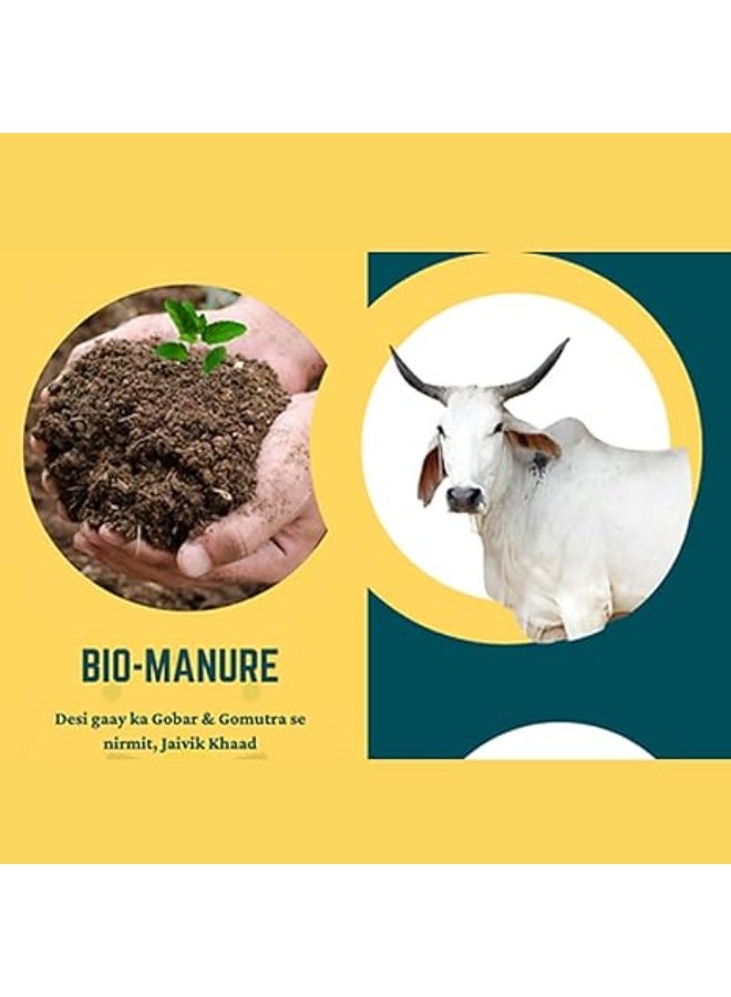 KNP Organic Cow Manure Powder Fertilizer For Home Gardening & Plants Multi-Purpose Fertilizers 2 KG - Image 4