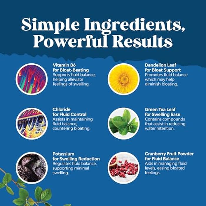 Natures Craft أقراص مدر للبول الطبيعية للتخلص من الماء في الجسم مع فيتامين ب6 والبوتاسيوم ومستخلص جذر الهندباء لمكافحة احتباس الماء والانتفاخ والكبسولات لفقدان الوزن للنساء والرجال مع الشاي الأخضر المضاد للأكسدة - Image 4
