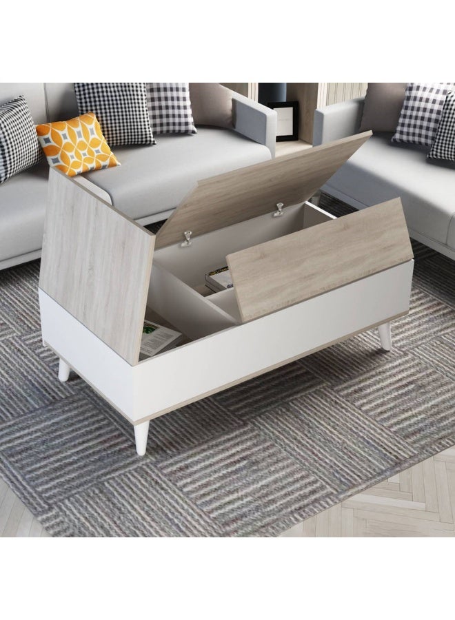 طاولة قهوة متعددة الألوان من خشب MDF (الأبعاد: الطول 100، العرض 50، الارتفاع 45)