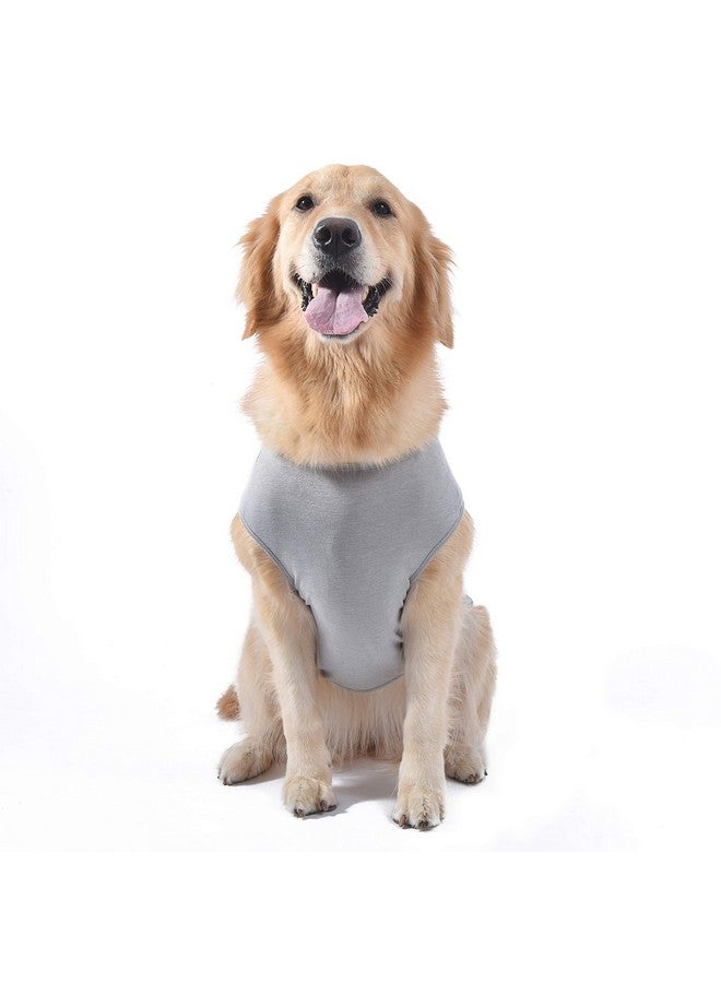 Star Wars for Pets 'You R2 Cool' Gray Dog Tank | Star Wars Dog Shirt for Large Dogs | Size X-Large | Soft, Cute, and Comfortable Dog Clothing and Apparel - Image 3