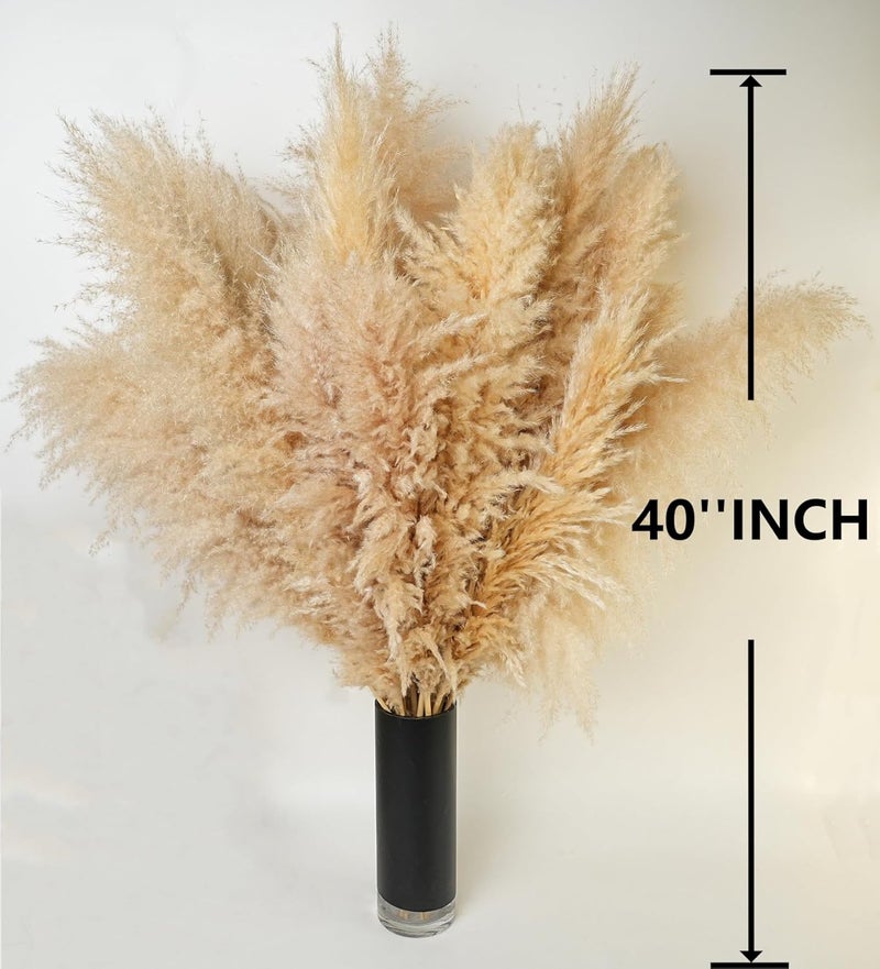 ANPROOR 10 PCS 40" Tall Pampas Grass Stems in Natural Beige, Add a Boho Touch to Your Space—Pompas Grass Ideal for Floral Arrangements, Floor Vases, Weddings, and Creating a Bohemian Ambiance at Home. - Image 2