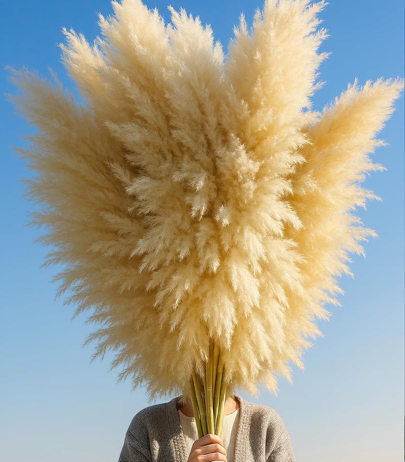 ANPROOR 10 PCS 40" Tall Pampas Grass Stems in Natural Beige, Add a Boho Touch to Your Space—Pompas Grass Ideal for Floral Arrangements, Floor Vases, Weddings, and Creating a Bohemian Ambiance at Home. - Image 3