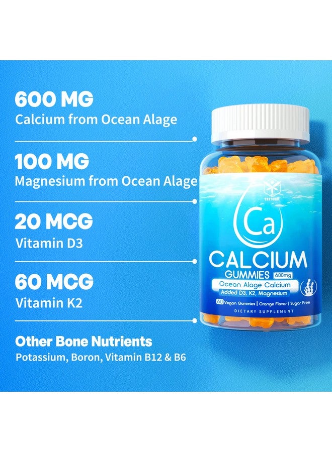 EnvyCure Sugar Free Calcium Gummies 600Mg Ocean Algae Calcium With Vitamin D3 K2 Magnesium B6 B12 Organic Calcium Supplement For Bone Strength & Teeth Health Orange Flavor Vegan 2 Pack - Image 4