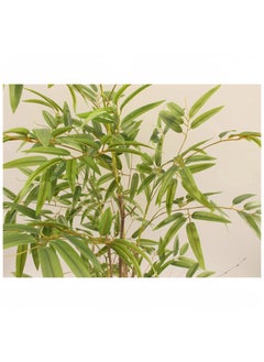 ESSENTIALS 360 ESSENTIALS 360® Artificial Bamboo Tree Realistic Plants 150cm Fake Decorative Trees Faux Potted Modern Tree with Lifelike Bamboo Leaves and Branches in Pot for Home Office  - Image 2