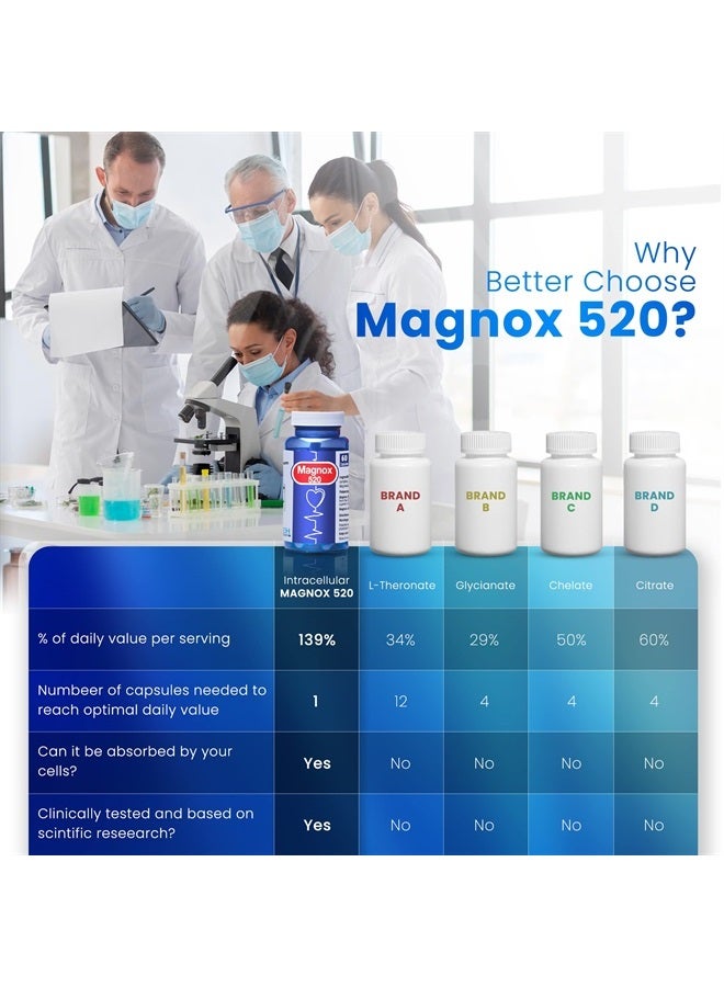 MAGNOX 520 - Magnesium Supplement 520mg of High Absorption Magnesium for Men & Women with Dead Sea Minerals - Magnesium for Sleep & Muscle Pain Relief, Vegan, Kosher, Halal & Gluten-Free (60 Caps) - Image 3