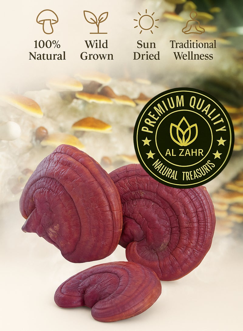 Zahr Dried Mushroom Big – Premium Whole Dried Mushroom | Natural Herbal Mushroom for Gardening, Horticulture, Potpourri & Botanical Use - Image 3