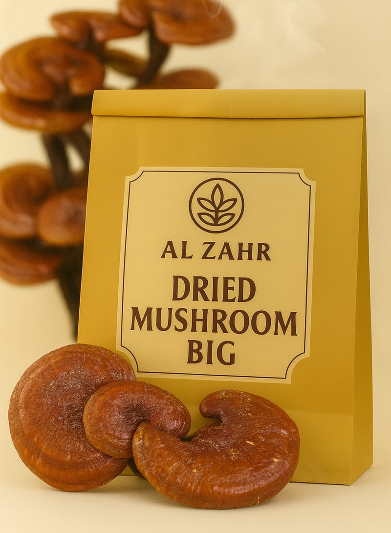 Zahr Dried Mushroom Big – Premium Whole Dried Mushroom | Natural Herbal Mushroom for Gardening, Horticulture, Potpourri & Botanical Use - Image 1