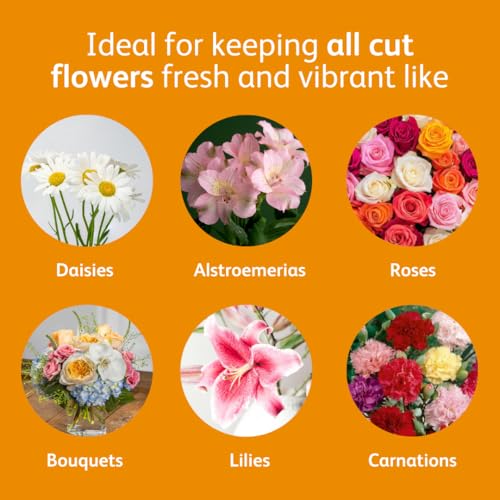 Chrysal Recyclable Paper Flower Food Packet - 100 ct, for 1L of Water - Image 4
