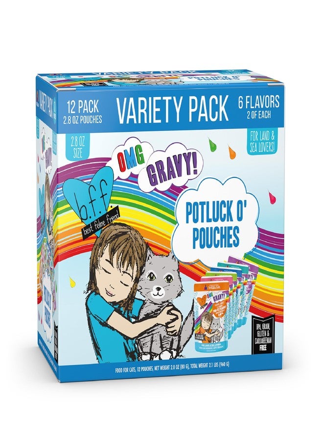 Weruva B.F.F. OMG - Best Feline Friend Oh My Gravy!, Variety Pack, Potluck O' Pouches, Wet Cat Food, 2.8Oz Pouches (Pack of 12) - Image 1