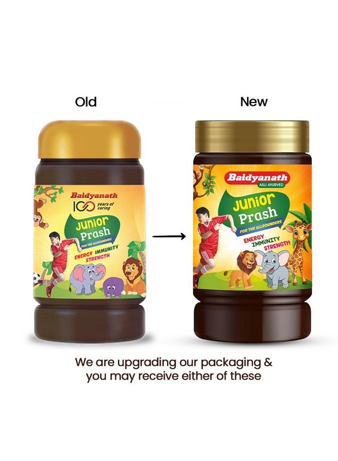 Baidyanath بايدياناث جونيور براش - تركيبة خاصة من شايوانبراش للأطفال (أملا، براهمي، سانخبوشبي، بانسلوتشان إلخ) - 1 كجم - Image 3