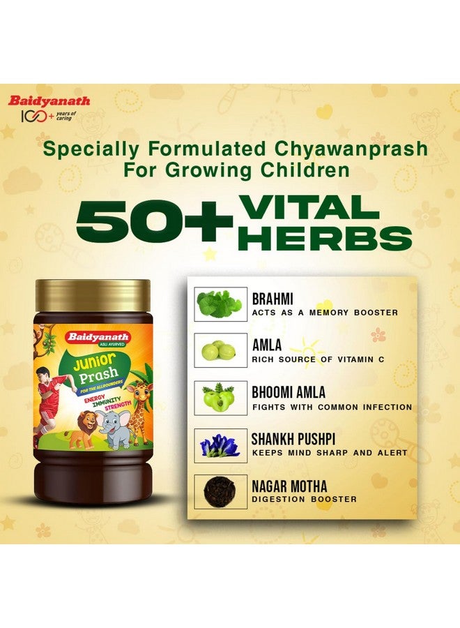 Baidyanath بايدياناث جونيور براش - تركيبة خاصة من شايوانبراش للأطفال (أملا، براهمي، سانخبوشبي، بانسلوتشان إلخ) - 1 كجم - Image 5