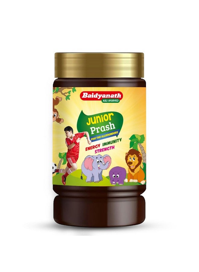Baidyanath بايدياناث جونيور براش - تركيبة خاصة من شايوانبراش للأطفال (أملا، براهمي، سانخبوشبي، بانسلوتشان إلخ) - 1 كجم - Image 1