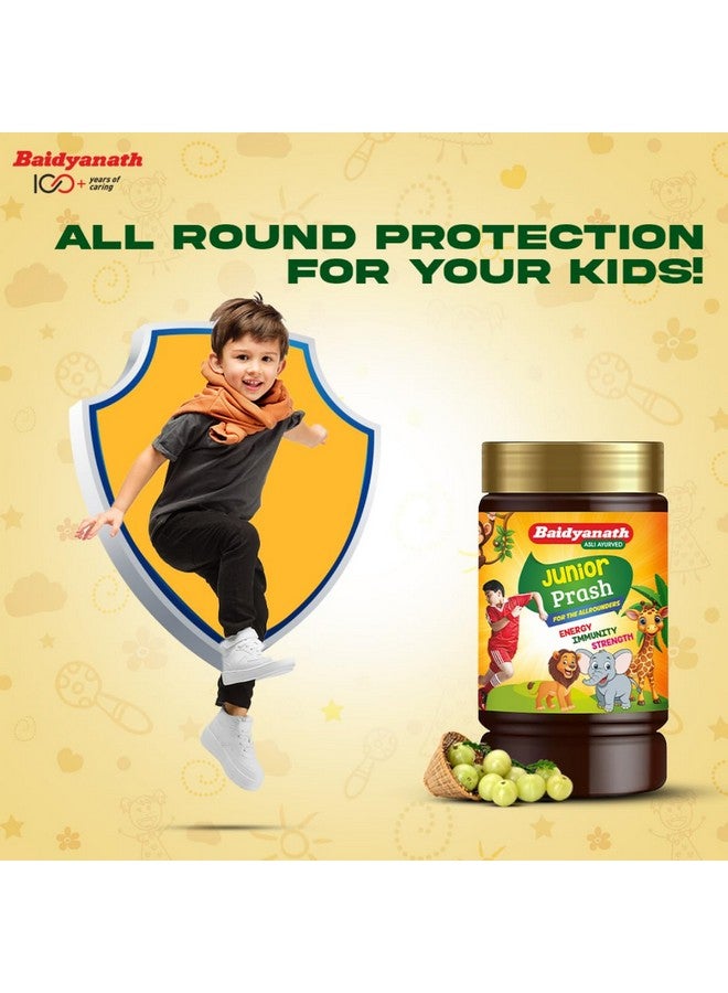 Baidyanath بايدياناث جونيور براش - تركيبة خاصة من شايوانبراش للأطفال (أملا، براهمي، سانخبوشبي، بانسلوتشان إلخ) - 1 كجم - Image 4