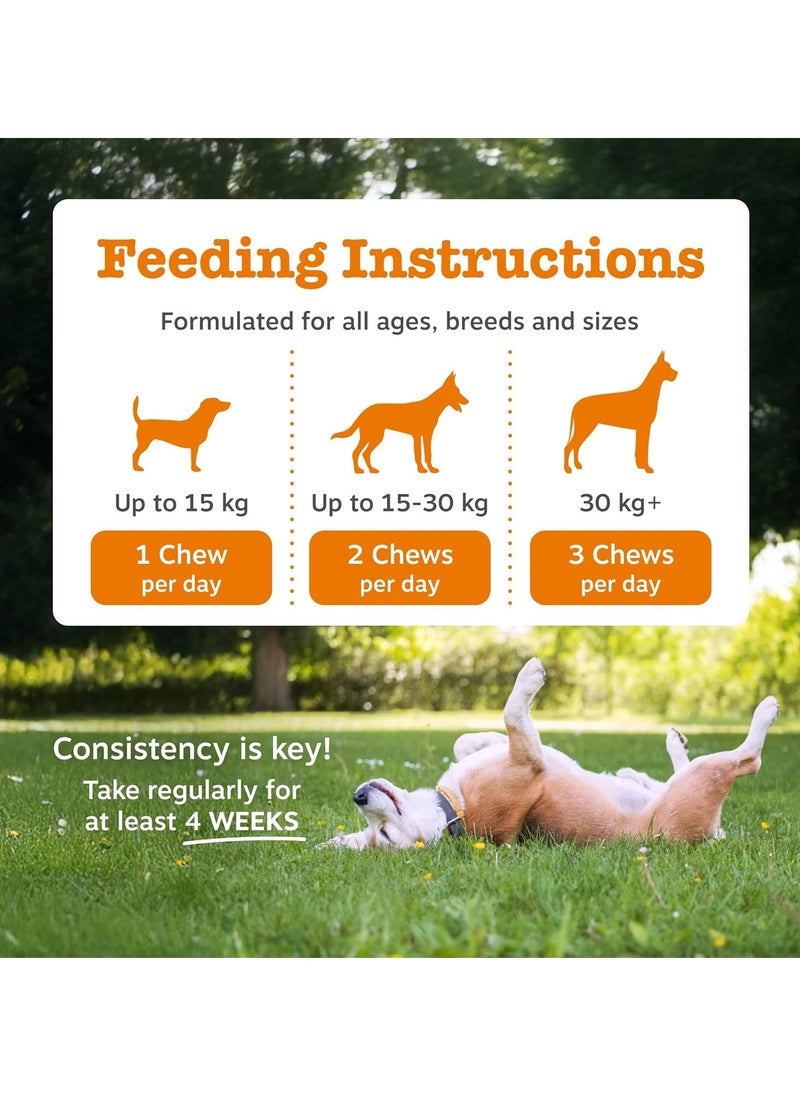 Zesty Paws - Paws Probiotics for Dogs Supports Gut and Digestive Health Probiotic Supplements for Digestive Care and Digestive Treats Dog Probiotics for Gut Health Supplements 90 Pcs - Image 1