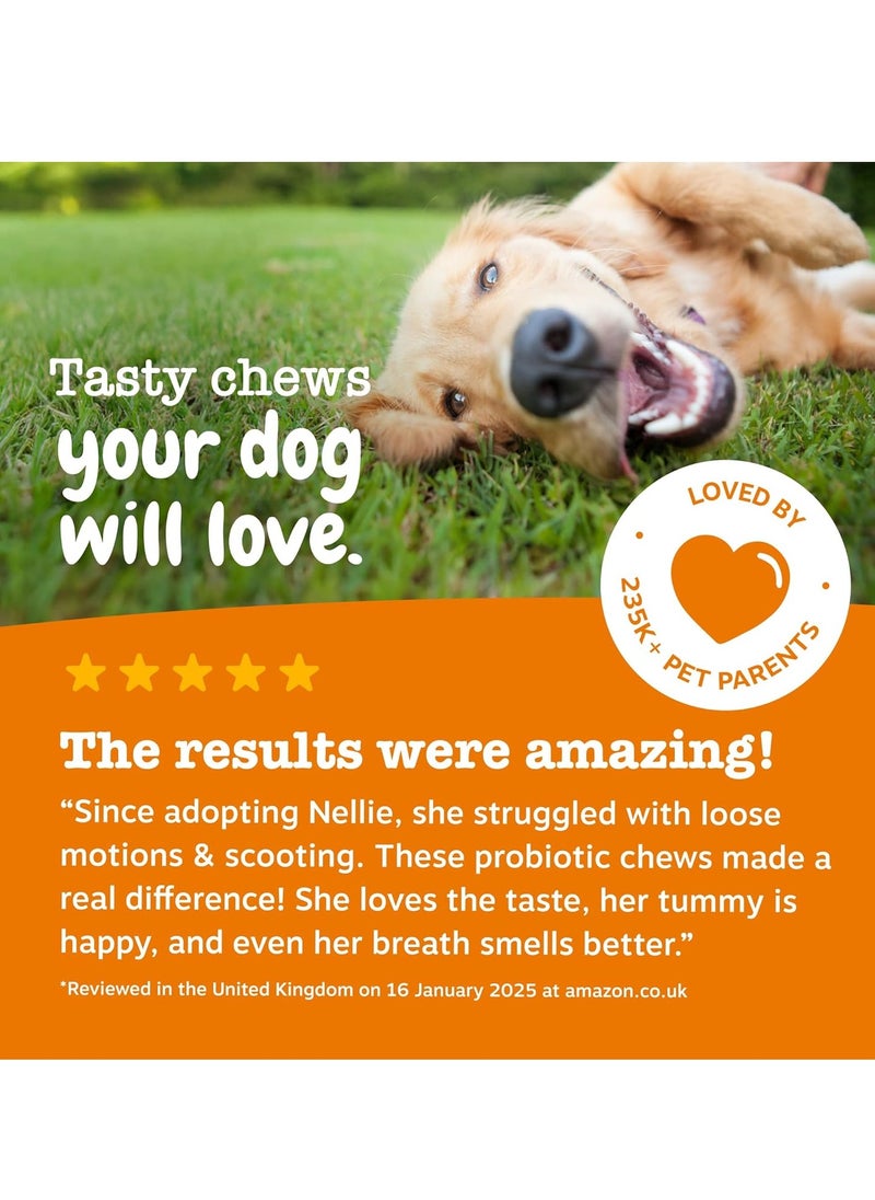 Zesty Paws - Paws Probiotics for Dogs Supports Gut and Digestive Health Probiotic Supplements for Digestive Care and Digestive Treats Dog Probiotics for Gut Health Supplements 90 Pcs - Image 1
