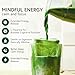 Matchabar Matcha Powder 30g  Ceremonial Grade Authentic Japanese Matcha Green Tea  Matcha Green Tea Harvested in Japan  Matcha Tea Powder Latte  Zero Sugar Vegan  0 Calories - Image 4
