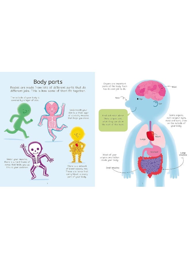 Usborne Book and Jigsaw Human Body  - Image 4
