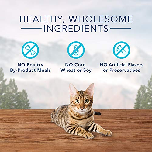 Blue Buffalo Wilderness High Protein Crunchy Cat Treats, Made With Natural Ingredients, Tasty Trout, 2-oz Bag (Pack of 12) - Image 4