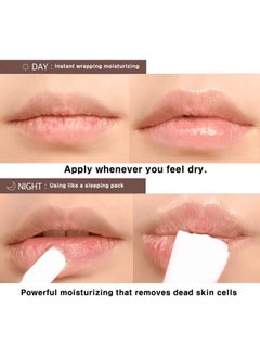 BBI@ BBIA Bbia Vegan Shea Butter Lip Oil Balm 0.35 Fl Oz Hydrating & Nourishing Lip Care Korean Lip Moisturizer For Dry Cracked Chapped Lips Natural Glow For Men And Women Korea Makeup  - Image 3