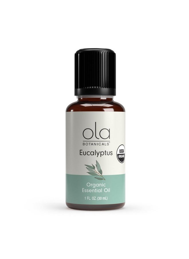 Als Organic Eucalyptus Essential Oil (1 Fl. Oz.), Refreshing And Soothing, Certified Usda Organic, Dr. Mercola - pzsku/ZF9AB4AFA51A846EC9ADDZ/45/_/1734437898/3445b797-e1eb-4c54-97fe-072b6ac2c54c