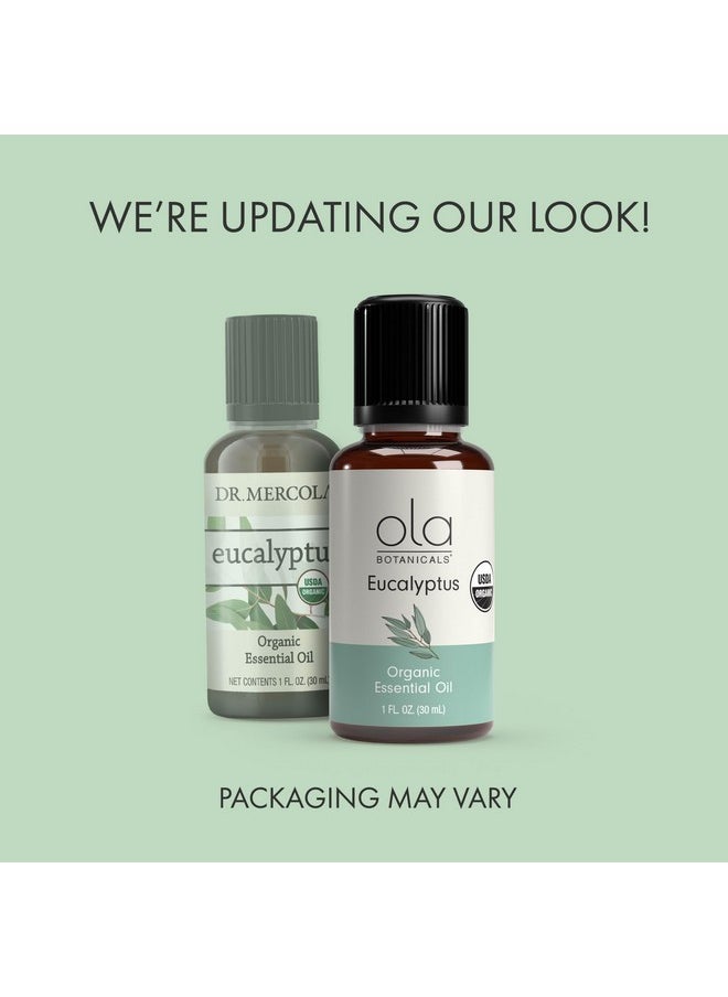 Dr. Mercola - Als Organic Eucalyptus Essential Oil (1 Fl. Oz.), Refreshing And Soothing, Certified Usda Organic, Dr. Mercola - Image 1