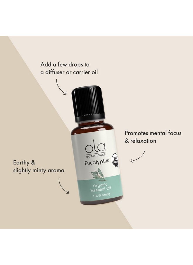 Dr. Mercola - Als Organic Eucalyptus Essential Oil (1 Fl. Oz.), Refreshing And Soothing, Certified Usda Organic, Dr. Mercola - Image 1