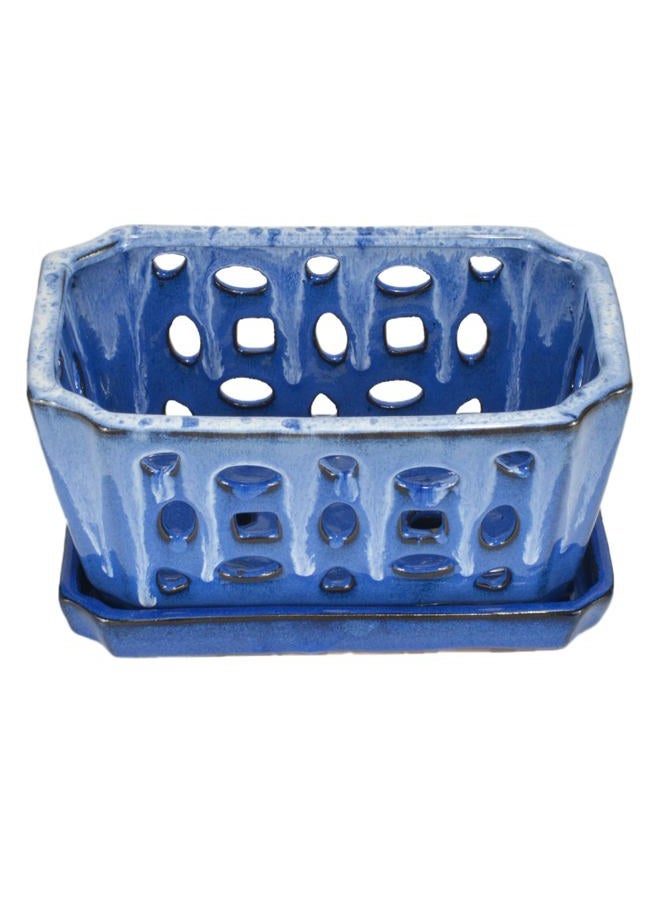 w w Orchid Pot with Holes, Garden Pot for Orchid, Plant and Flower Pots Indoor Outdoor,9 Inches (White and Blue) - Image 3