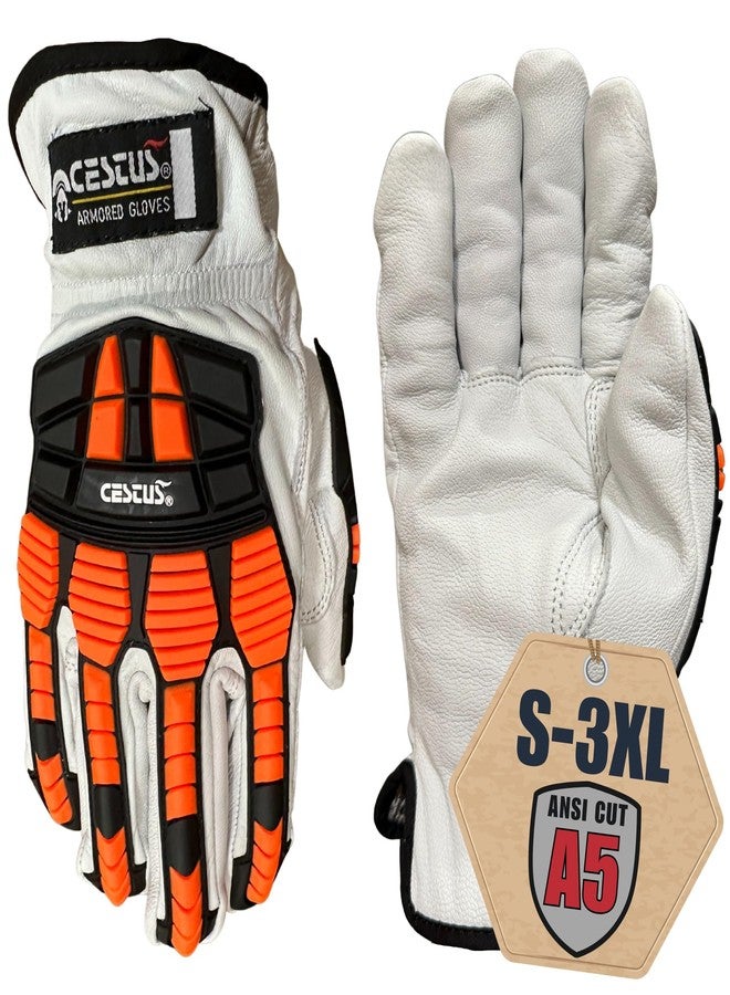 Cestus 3219, Premium Leather Work Gloves, Level A5 Cut Resistant 360 Protection, Heavy Duty Impact Gloves (Medium) - Image 1