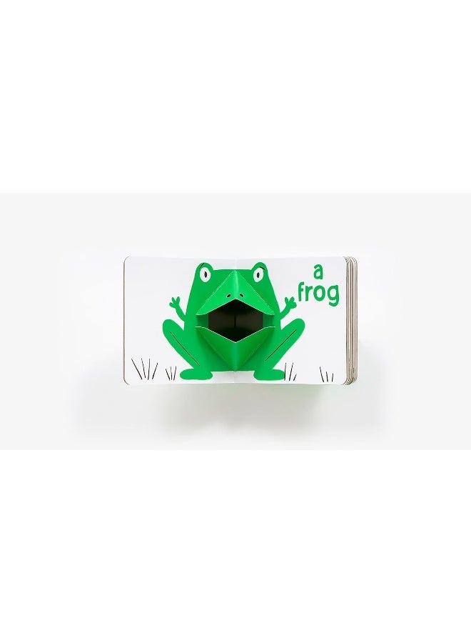 Green Pop (With 6 Playful Pop-Ups!): A Pop-Up Board Book  - Image 3