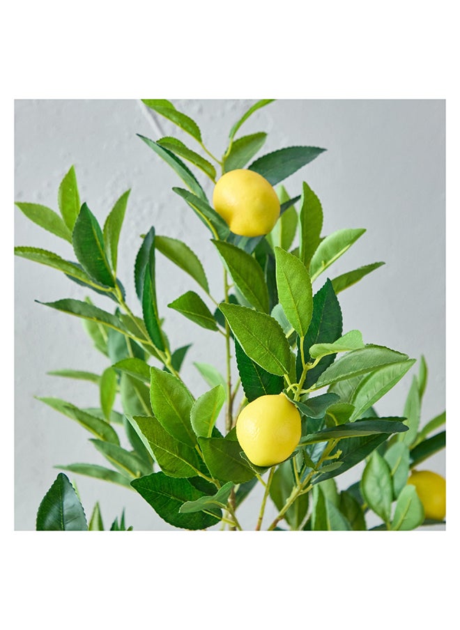 Home Box - Alicia Lemon Tree with Pot 45 x 90 x 39 cm - Image 1