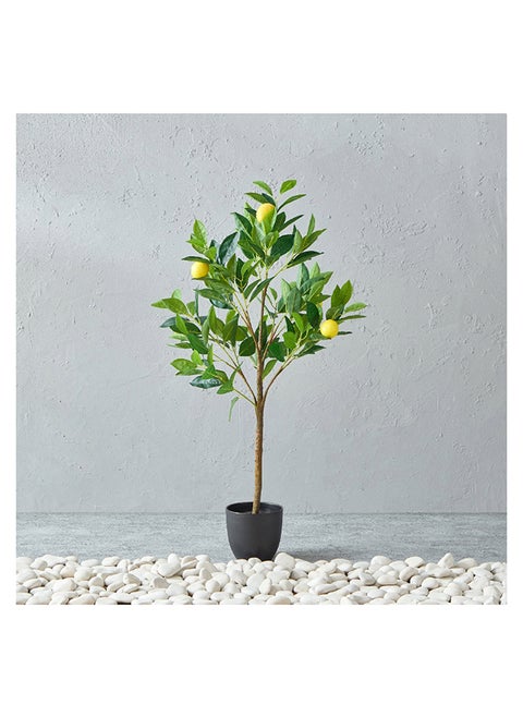 Alicia Lemon Tree with Pot 45 x 90 x 39 cm