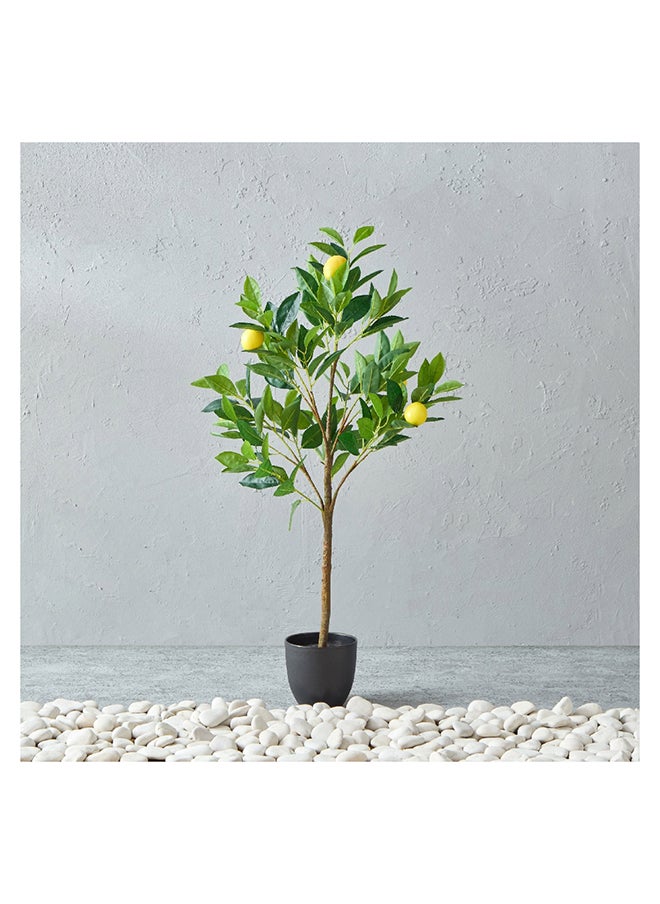 Home Box - Alicia Lemon Tree with Pot 45 x 90 x 39 cm - Image 1