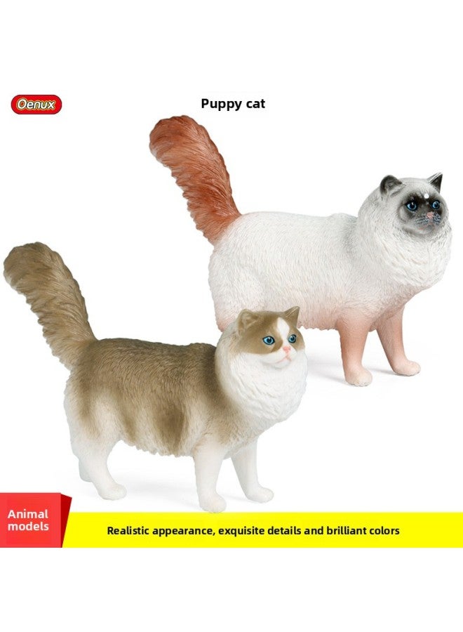 Children's Simulation Animal Model Toy Plastic Cognitive Solid Domestic Cat Pet Cat Puppet Puppet Scene Ornaments Hand-held-Color:M-3132 Yellow Short-haired Cat  - Image 2