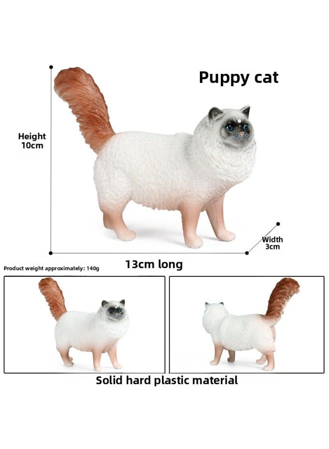 Children's Simulation Animal Model Toy Plastic Cognitive Solid Domestic Cat Pet Cat Puppet Puppet Scene Ornaments Hand-held-Color:M-3132 Yellow Short-haired Cat  - Image 3