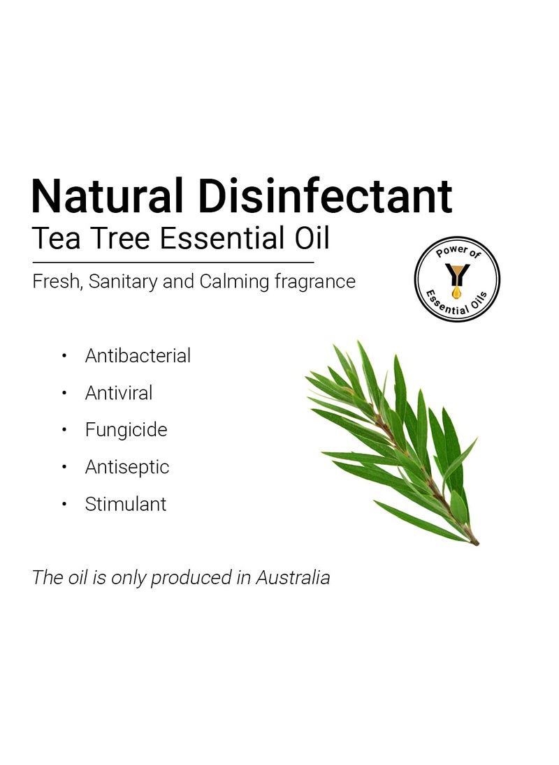 KEYA SETH AROMATHERAPY, DEVICE OF DROP KEYA SETH AROMATHERAPY DEVICE OF DROP Tea Tree Essential OilTherapeutic PureNaturalFor HairSkinFaceDandruff And Oily ScalpAcneOily Skin 10Ml  - Image 3