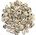 Dwuww 100 Pcs White and Lvory Natural Cowrie Shells Beads Oval Beach Seashells African for Hair Jewelry Making Sea Shells for CraftingDIY Craft Beads and Bead Assortments - Image 2
