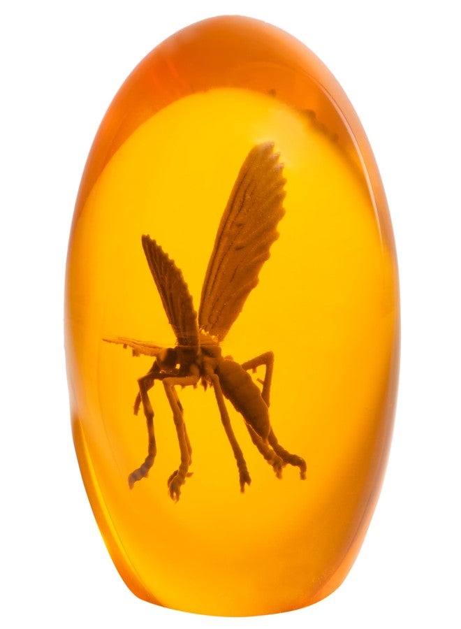 Costume Agent Prehistoric Mosquito in Amber Replica Resin Dinosaur Collectible 3D Unique Paperweight & Halloween Prop - Image 5